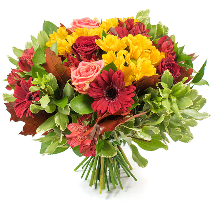 This lush, rounded bouquet is a study in autumnal warmth, presented on a crisp white surface so each colour reads clearly. Dominant, velvety red roses - some unfurled into full, layered blooms, others kept as poised buds - sit alongside dramatic dark-red Gerbera daisies whose flat petals frame intense blackish centres. Scattered throughout are bright yellow chrysanthemum sprays that introduce a lively, textured counterpoint and pull light into the centre of the arrangement. Soft coral-pink roses lend a subtle blush, their ruffled petals offering a gentle transitional hue between the bold reds and the sunlit yellows, while small alstroemeria, freckled in orange and red, create delicate, star-like accents that add fine detail and movement.

A varied palette of greenery provides structure: glossy deep-green leaves form a solid base, lighter, almost variegated foliage breathes air between blossoms, and larger reddish-brown leaves - their bronze tones echoing fallen autumn foliage - are deliberately placed to heighten the seasonal narrative. The stems are neatly gathered and tied, visible at the bouquet's base as a fresh cluster of green stalks that confirms its hand-tied craftsmanship. Bathed in soft, natural light, the petals appear subtly translucent and inviting to the touch, while an implied scent of roses and late-season blossoms lingers in the imagination. Ideal for harvest celebrations, a Thanksgiving table, or as a comforting gift, this arrangement carries a quiet generosity and handcrafted refinement that a local florist would recommend for autumn home décor or heartfelt seasonal delivery to Stanmore homes near Canons Park and the High Street.