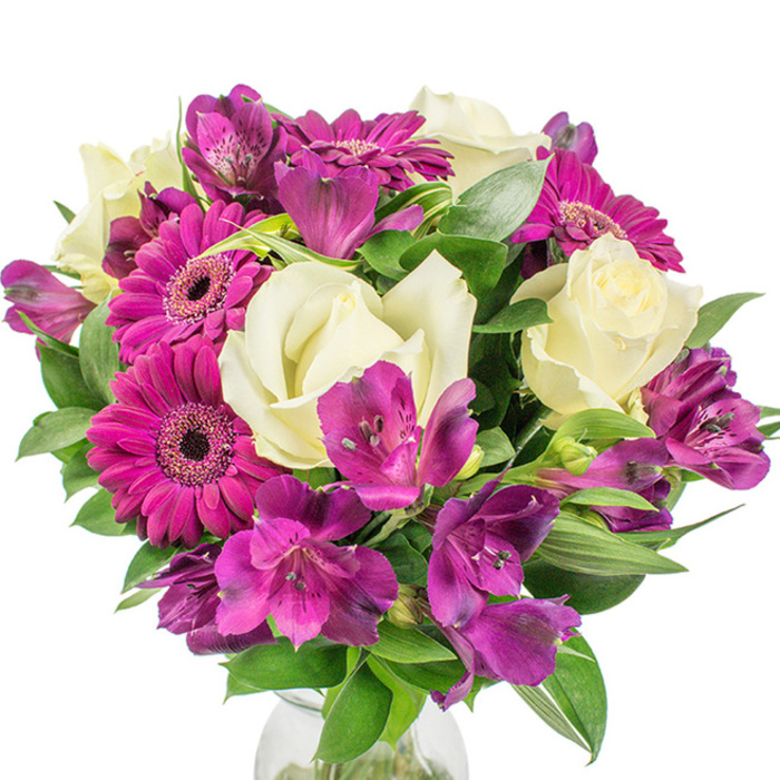 A professionally assembled, round floral centrepiece set against a crisp white background, where creamy white roses and vivid magenta Gerbera daisies create an immediate, elegant contrast. Several roses sit gracefully with petals tightly furled at their centres before gently unfolding into soft, velvety layers that suggest classic romance. At least three deep magenta Gerberas punctuate the arrangement with their radiant, almost fuchsia petals and dark central discs, bringing an energetic focal point to the bouquet. Clusters of purple-and-fuchsia Alstroemeria-Peruvian lilies-are dispersed throughout, their uniquely patterned, trumpet-like petals adding depth and a hint of exotic texture. The greens are robust and varied, including broad glossy leaves and some with lighter, variegated patterns that add visual interest and a fresh, garden-picked feel. These leaves create a supportive backdrop, sculpting the bouquet's full silhouette and producing soft plays of light across the blooms. A subtle clear glass vase is visible at the bottom, grounding the composition and suggesting how this floral mix would sit as a table centrepiece in a home near Stanmore Broadway or on a dining table after a walk through Stanmore Common. The arrangement exudes joyful refinement; its scent is quietly floral and the combination of textures-creamy petals, papery gerbera faces, and speckled alstroemeria-invites both admiration and touch. Ideal for celebrating anniversaries, birthdays, or simply for brightening a local household, this bouquet combines thoughtful design and fresh materials to convey warmth and occasion-ready beauty.