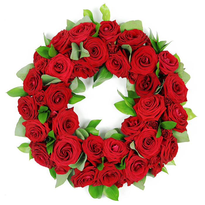 An exquisitely constructed circular wreath of dozens of deep red roses rests against a crisp white background. The wreath is densely packed, displaying a lush array of crimson blooms in varying stages of opening, from tightly furled buds to elegantly unfurled petals with rich folds. The red roses convey love, remembrance, and respect, forming an unbroken ring that evokes continuity. Interspersed among them are clusters of fresh green foliage: broad, matte eucalyptus-like leaves and sharper, glossy ruscus, offering textural contrast and depth. The arrangement achieves a three-dimensional feel through deliberate layering of petals and leaves, creating a sense of abundance and solemnity. This red rose wreath is a potent visual symbol for memorial services, funeral arrangements, or anniversaries of remembrance. The stark white backdrop emphasizes the color saturation and the model's graceful silhouette, enhancing the gesture of condolence it represents. In the Stanmore area, florists like Flowers Stanmore routinely craft such tributes for local churches, crematoria, and funeral homes, often paired with same-day delivery to families in need. This piece exemplifies the quiet elegance and respectful sentiment that a refined memorial bouquet should convey, speaking softly but clearly of sympathy, memory, and enduring tribute.