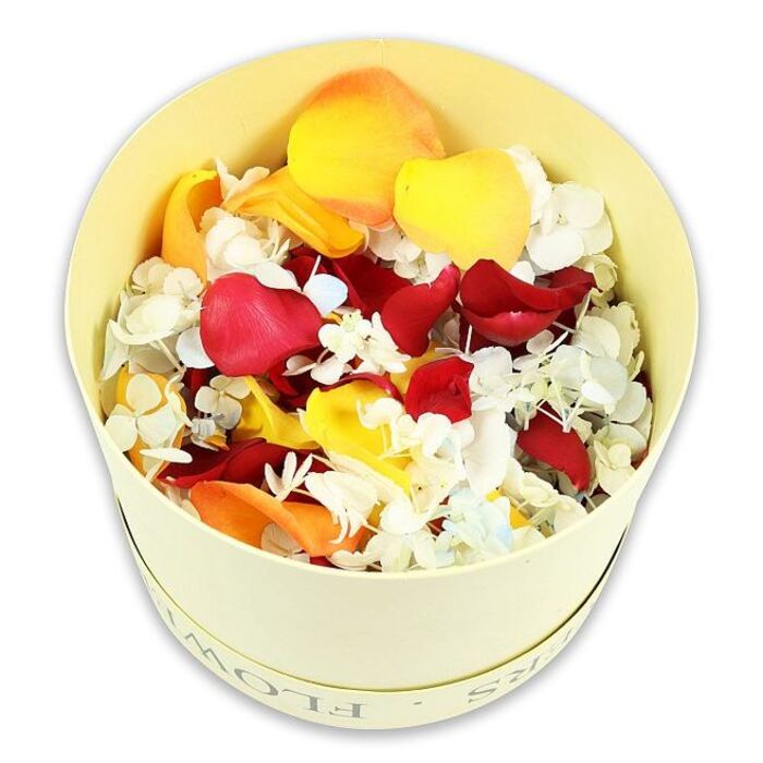 A softly rounded, cream-yellow hatbox, its cylindrical form simple and dignified, is captured in crisp detail against a spotless white background, reminiscent of the quiet calm found in Stanmore's residential lanes. The box is fashioned from firm, matte paperboard, and around the top edge faint debossed letters hint at the word FLOWERS, giving a subtle nod to its purpose as a vessel for cherished blooms. The viewpoint hovers just above the open lid, offering a clear view into a densely packed, gently domed cushion of dried petals and small florets that overflow slightly above the rim, suggesting generosity and thoughtful care. Deep crimson rose petals dominate the composition, their velvety surfaces and softly ruffled edges forming rich shadows and highlights that add depth and emotion. Layered amidst them are petals in bright yet gentle tones of sunshine yellow and warm peach-orange, recalling the tones of sunset drifting over Stanmore's open spaces, lending a sense of warmth, hope, and quiet comfort. Laced delicately through the larger petals are countless tiny hydrangea florets in crisp white, with an occasional suggestion of pale, icy blue. Their papery, four-petalled shapes create a lace-like overlay that softens the bolder colours beneath, adding texture and a sense of lightness, as though a fine veil of blossoms has settled across the roses. The petals appear carefully preserved, holding their forms with a slight crispness that suggests a gentle rustle if handled. This carefully curated blend would be fitting for scattering in farewell at a burial or cremation service, adorning a memory table in a Stanmore home, or resting beside a candle and photograph as a lasting, natural tribute to a life remembered with tenderness and respect.