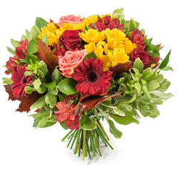 Carefully gathered and balanced, this hand-tied bouquet celebrates autumn with rich, warm hues arranged against a clean white backdrop. Dominant deep reds - velvety roses and bold Gerbera daisies with their signature dark centres - anchor the composition, while cheerful sprays of small yellow chrysanthemums pepper the design with bright contrast and fine, textural detail. Coral-pink roses are threaded throughout, their soft tones offering gentle relief amid the intense reds, and slim alstroemeria in red-orange add a lively, speckled punctuation that guides the eye across the rounded mass of blooms. The florist's intention is clear in the layered placement and rhythmic repetition of shapes, creating both focal points and tender secondary moments.

Surrounding foliage adds volume and depth: glossy dark-green leaves, lighter verdant stems, and a few variegated fronds that catch the light. Crucially, broad reddish-brown and bronze autumn leaves - reminiscent of oak or maple - are woven into the bouquet to reinforce the season and impart a rustic texture. The stems are bound and visible at the base, the hallmark of a professional hand-tied arrangement prepared for delivery across Stanmore and nearby Harrow streets. The overall effect is warm and reassuring, the colours glowing as if lit by low autumn sunlight. For a local client seeking a harvest tribute, Thanksgiving table piece, or a gift that evokes comfort and abundance, this bouquet reads as thoughtful and expertly composed by a seasoned florist familiar with Stanmore's quieter, leafy corners.