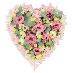 On a pure white backdrop, a meticulously crafted heart-shaped funeral wreath is shown in full detail, its pastel tones creating a soothing visual calm. The outer perimeter of the heart is built from a close-knit ring of pale pink carnations, their soft, ruffled heads touching to form a continuous, cushion-like border. Along this edge, a fine pink satin ribbon peeks through, tied into small, elegant bows at key points, lending the piece a refined, almost ceremonial character that would be fitting for a memorial gathering in Stanmore. Within this pale frame, the heart is densely packed with blossoms. Large pink lisianthus blooms in shades from blush to deeper rose serve as focal flowers, their layered petals opening generously. They are interwoven with frilly light pink carnations to create a plush, comforting surface. Pockets of creamy yellow and ivory spray roses dot the interior, their smaller blooms adding warmth and variation. Tiny white daisy-like flowers with golden centres are sprinkled throughout, like delicate notes of brightness, providing a gentle lift to the arrangement's mood. Eucalyptus sprigs, with their distinctive rounded, silvery-green leaves, wind between the flowers, bringing a cool tone and a sense of natural movement, while darker green foliage creates subtle shadows and depth. The design feels full yet composed, a careful blend of colour and texture that speaks of love and remembrance. It is the kind of floral heart families in Stanmore might choose to honour someone dear, a piece that could be displayed during a service near Stanmore Hill or by a memorial table, quietly offering comfort and the reassurance of being thoughtfully remembered.