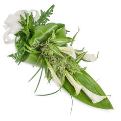 This elongated tribute, photographed on a bright white surface, showcases the sculptural purity of white Calla lilies set amid a rich tapestry of greens. The lilies, creamy and trumpet-formed, cascade gently down the right side, their smooth, almost satiny petals catching a soft studio light that highlights their graceful curves. The base is constructed from broad, deep-green glossy leaves-manually folded and positioned to give architectural support-while thinner, striped variegated foliage weaves through the centre, providing lively contrast and visual airiness. Delicate fern fronds and slim grass-like blades add feathery texture and movement, and tiny pale-green filler sprigs tuck into crevices to create a natural, layered depth. A cream-coloured woven bow-linen in appearance-sits at the top-left, its coarse weave complementing the arrangement's refined simplicity. The diagonal layout from upper left to lower right gives the composition a gentle directional flow, appropriate for both ceremonial and decorative contexts. As a local Stanmore florist I craft pieces like this for services at nearby chapels and receptions near Stanmore High Street or for families collecting at Stanmore tube station, and Flowers Stanmore often prepares similar designs for dignified tributes or contemporary bridal pairings. The overall effect is quietly elegant: clean, contemplative, and textural, evoking peaceful reflection and timeless taste while remaining fresh and unadorned.