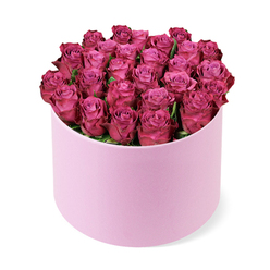 On a clean white background, a glamorous dome of deep pink roses sits inside a light pink cylindrical box, and the scene feels as if captured just after dawn. The roses are almost perfectly uniform in size, each bud or near opening creating a dense, rounded silhouette that fully fills the container. The petals appear velvety and fresh, the color a lush fuchsia that glows with lighter edges and a hint of plum at the outer layers. The box's smooth matte finish contrasts with the blooms' lush fullness, a quiet statement of elegance. The moment is described with a florist's eye for craft: careful hand placement, the balance of form and color, the tension between the soft pink box and the bold blooms. This arrangement is designed to speak of romance, celebration, and generosity, whether given for Valentine's Day, an anniversary, or a birthday. In Stanmore, customers can arrange same-day delivery to The Broadway, Canons Park, or nearby streets, ensuring the beauty arrives fresh and on time. The scent of rose perfume would fill a room long after the gift is unwrapped, while the memory of the moment lingers with the recipient. The piece would suit a modern living space and a stylish dinner party alike, a refined signal of affection that complements contemporary interiors. For locals in NW London, this bouquet demonstrates how high-end floristry translates emotion into form, light, and scent, with dependable local service that makes a thoughtful gift feel effortless and luxurious.