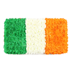 This flag-inspired arrangement unfolds as a rectangular floral banner, its three vertical bands crafted entirely from densely packed petals. To the left, green blossoms create a lush, mossy stripe-likely a mix of tiny green carnations and chrysanthemums-that feels soft under a fingertip and rich under the eye. The center white stripe appears as a cloud of white petals, tightly grouped to form a clean, luminous band that separates colour from colour with quiet dignity. The rightmost orange stripe mirrors the same texture, built from small orange blooms such as marigolds or chrysanthemums, offering a warm glow that echoes autumn light. The petals are arranged with precision but the surface remains gently undulating, giving the piece an organic, almost sculptural presence. The white background isolates the panel, letting each hue breathe and inviting close inspection of the handiwork-the careful layering, the evenness of petals, and the subtle shadows that reveal depth. The symbolism is threaded through every petal-the enduring peace represented by white, the cohesion of Irish heritage across communities, and the connection to Protestant traditions through the orange. In Stanmore, this floral flag can anchor cultural features around the High Street, Stanmore Hill, Canons Park, and nearby parks, and is suitable for events celebrating Irish culture, national holidays, or remembrances. Available for local delivery in Stanmore and surrounding NW London, with freshness you can trust from Flowers Stanmore.