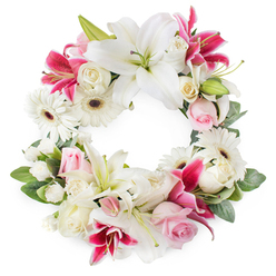 This image features a lush, open circular wreath that appears almost to float against a bright white background, every detail of its carefully arranged flowers clearly visible. The wreath is composed in a palette of pure white, soft pastel pink, and deep magenta, giving it an air of serenity with touches of emotional depth. Dominant within the design are large white lilies, each bloom opening wide, with elegantly curved petals that reveal vivid green pistils and golden stamens, suggesting purity and the tenderness of farewell. Among them sit rich fuchsia and deep pink lilies, their star-shaped, subtly speckled petals adding contrast and intensity, guiding the eye around the ring. Soft pink roses nestle between the lilies, some just beginning to open, others slightly more expanded, their layered petals offering a sense of intimacy and affection. Creamy white roses, many in full bloom, provide a traditional, comforting presence and add volume and structure to the wreath. Scattered throughout, crisp white gerbera daisies with dark centres contribute a fresh, contemporary touch and a pleasing textural contrast. Smaller white filler flowers-possibly spray carnations or tiny chrysanthemums-are woven into the design, completing the circle so that no gaps break its continuity. A backing of lush green foliage frames the flowers, with leaves and sprigs of greenery giving depth and a soft, natural edge to the ring. The overall look is calm and reverent, ideal as a sympathy wreath for a Stanmore family gathering at a local crematorium, church, or synagogue, quietly reflecting the neighbourhood's peaceful streets and green spaces as it honours a cherished life.