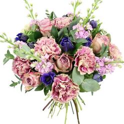 Photographed against a simple white backdrop, this hand-tied bouquet feels like a quiet celebration, the sort of design a Stanmore florist might prepare for a cherished anniversary dinner at home. At its heart, garden roses in gentle blush, dusty pink, and antique mauve slowly unfurl, their layered petals forming full, rounded blooms that speak of classic romance. Around them, plush carnations add a cloudlike softness, their petals ruffled and abundant, shifting in colour from warm cream in the centres to soft rose and plum-pink along the edges, each bloom offering rich texture and depth. Breaking through the pastel tones are vivid strokes of deep indigo and royal blue; some of these blooms are elegantly closed, shaped like smooth tulip buds, while an open blue anemone near the front commands attention with its velvety petals surrounding a dark, dramatic centre. Pale lavender and lilac stock flowers rise gracefully through the arrangement, their slim stems threaded with many tiny blossoms that add gentle height and a sense of airy movement, reminiscent of spring breezes over Bentley Priory Nature Reserve. The flowers are cradled in fresh greenery, including rounded, silvery eucalyptus leaves and deeper green foliage that provide contrast, structure, and the suggestion of a cool, clean fragrance. At the base, the stems are neatly tied and visible, hinting at the bouquet's freshly prepared nature and careful craftsmanship. The overall palette of pinks, purples, and blues, balanced with soothing greens, creates a bouquet that feels comforting yet refined, ideal for birthdays, thank-you gifts, or to send a message of affection to someone living in Stanmore or nearby Edgware.