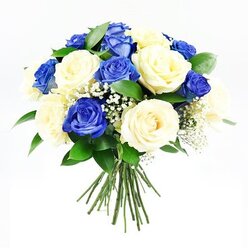 In this image, a beautifully balanced bouquet of roses in deep blue and creamy ivory is presented against a pristine white background, allowing the arrangement's colours and textures to unfold without distraction. The bouquet is shaped into a rounded, hand-tied cluster, with the blue and cream roses evenly distributed so that neither shade dominates. Each rose tells its own story: some are wide open, revealing layered, velvety petals that form intricate spirals, while others remain more tightly wound, suggesting gentle restraint and composure. Fine stems of white baby's breath meander between the roses, their tiny blooms catching the light and adding an ethereal, almost mist-like quality to the design. Along the edges and partially hidden among the blossoms, deep green leaves-likely Ruscus or similar foliage-provide subtle contrast, their smooth surfaces and rich hue grounding the cooler palette of blues and creams. The stems are gathered together at the bottom, neatly tied and visible against the white, signalling a fresh, hand-crafted bouquet as you might find in a Stanmore florist's studio. The lighting is soft and even, revealing the natural curves and textures of each petal without harsh glare. The overall feeling is calm, reflective, and quietly elegant, ideal for sympathy flowers delivered to homes and chapels around Stanmore, from the tree-lined streets off Marsh Lane to the peaceful corners near Bentley Priory Nature Reserve. This bouquet appears designed to sit gracefully beside a framed photograph or to be placed at a memorial service, offering a gentle, floral expression of remembrance and respect.