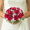 Beneath the gentle light that often filters through the leafy streets of Stanmore, a bride stands, her bouquet held close in a gesture of joy and calm. The domed arrangement overflows with lush, deep red roses-each velvety petal a testament to classic romance and heartfelt promises. Wisps of baby's breath cluster between the blooms, their pure white flowers lending the bouquet a delicate, almost celestial air. A touch of bright green foliage peeks through at the base, grounding the arrangement with a natural Stanmore freshness that calls to mind the suburb's peaceful gardens. The bride's hands, their nails perfectly manicured, gracefully frame the bouquet, while the bodice of her wedding gown-adorned with intricate lace or embroidery-serves as a rich, textured canvas behind the flowers. A softly draped sash trails from the side, heightening the overall sense of elegance. In the distance, the background blurs into warm, creamy tones, letting every detail of the bouquet and bridal attire shine. This scene captures the local spirit of Stanmore weddings: timeless, elegant, and filled with quiet radiance and joy.