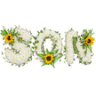 A tender, hand-crafted memorial spelled in three capital letters that read SON, each letter built from a dense carpet of small, pristine white chrysanthemums whose compact petals form a soft, cushion-like surface. The flowers give off a faint, clean scent like fresh laundry and lend a velvety texture your fingers could follow; their pure white tone suggests calm and peace. Winding through the white blooms are dark green ivy vines with glossy, five-pointed leaves and lighter fern fronds that lift and feather the edges, creating depth and the impression of gentle movement as if the letters might breathe. Bright yellow sunflowers, their broad golden petals framing deep, textured brown centres, punctuate the piece: one nestles at the upper left curve of the S, another sits low in the centre of the O surrounded by sprigs of fern, and a third crowns the upper right stroke of the N. The sunflowers introduce warmth and a quiet optimism, their faces turned outward like remembered smiles. The arrangement is photographed against a stark white background in soft, diffuse light that highlights the contrast between the cool whites, vivid yellows, and varied greens, and renders every petal and leaf in sharp relief. As a Stanmore florist would describe it after a day at the shop near Stanmore Common, this bespoke tribute balances sorrow and solace, an emblem of remembrance that reads as both personal name and a gentle celebration of life.