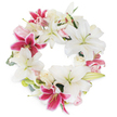 A serene and graceful wreath is showcased before a spotless white background, bearing all the hallmarks of Stanmore floristry at its finest. Dominant white lilies provide an immediate sense of purity and calm, their open petals and slender green filaments delicately highlighted by the surrounding light. Among them, luminous fuchsia and magenta lilies, speckled and bright, offer vibrant counterpoints-symbols of beauty, love, and cherished recollection. Clusters of soft pink and ivory roses, tightly wound yet gently unfolding, lend a soothing, romantic quality that infuses the display with elegance. Subtle sprigs of green foliage complete the composition, their quiet presence adding layers of structure and evoking the serenity of Stanmore Common. Every detail-from the careful circular placement to the harmonious play of colour and texture-reflects the skilled hands of Flowers Stanmore's local team. This wreath is a poignant choice for memorial services, funerals, or expressions of sympathy throughout the area, offering comfort, beauty, and a profound sense of connection to those navigating times of loss.