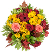 Seen from just above, this round, hand-tied autumn bouquet radiates generous warmth: a dense carpet of small golden-yellow button chrysanthemums forms the sunny core, their compact, feathery heads catching a soft, diffuse light. Around them, flat-faced burgundy gerbera daisies sit like dark, polished coins, their rich centres anchoring the composition and balancing the brighter tones. Scattered among these are fully open roses in deep crimson and in gentle coral-pink to peach shades; their velvety petals spiral outward, offering a tactile contrast to the chrysanthemums' resilience. Narrow clusters of star-shaped alstroemeria in cranberry and reddish-brown slip into the gaps, lending delicate, bee-like markings and a fine, layered texture. A variety of glossy green foliage - broad leaves, some with creamy variegated edges - frames the blooms and lifts the palette with fresh, cool notes. Rust-coloured maple-like leaves peek from the perimeter, their autumnal shapes evoking hedgerows and fallen paths and reinforcing the seasonal story. The arrangement sits against a clean white background so colour and texture read clearly: warm, abundant, and comforting. The scent is lightly sweet with green undertones, like a late summer garden giving way to fall; touching the bouquet, you imagine the smoothness of rose petals, the crisp snap of the foliage, and the slightly papery feel of the chrysanthemums. This bouquet feels made to bring gratitude and welcome to a table - a Thanksgiving centerpiece, an autumn wedding posy, or a thoughtful housewarming gesture - conveying seasonal richness with the careful eye of an experienced florist familiar with Stanmore's quieter, leafy streets.