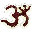 A reverent, sculptural floral interpretation of the sacred Om (Aum) symbol sits against a pure white backdrop, its form built from thousands of tiny, densely packed chrysanthemum-like blooms. The central strokes and the familiar '3'-like curve are filled with deep maroon to dark red pompon flowers whose little lime-green centres peek through like tiny, living beads - a subtle natural contrast that gives the symbol depth and an almost ember-like warmth. Encircling and tracing the interior negative spaces is a thick, undulating rim of pristine white spray chrysanthemums, their soft petals forming a luminous outline that lifts the maroon interior and clarifies every loop and crescent. The petals read as velvety to the eye and cool to the imagined touch, their layered textures catching a gentle, even studio light so that a soft drop shadow falls beneath the arrangement and emphasizes its three-dimensional presence. There is a faint, grounding scent, slightly earthy and garden-warm, suggested by the close-packed blossoms - the kind of subtle fragrance you notice in a quiet shrine or meditation room. The composition feels measured and meditative, the florist's craft evident in the careful packing and the smooth curves that hold symbolic meaning for prayer, breath, and listening. This floral Om would serve naturally as a centrepiece for a devotional ceremony, a calm focal point at a memorial, or a contemplative display at a yoga or cultural event. The arrangement's balance of rich red and pure white evokes both solemnity and hope, inviting viewers into a moment of quiet reflection and connection with tradition.