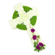 This image features a distinguished Celtic cross funeral arrangement displayed on a pure white background, allowing every floral detail to stand out with quiet grace. The body of the cross is densely covered in white chrysanthemums, each head aligned closely with the next so that the surface looks soft, cohesive, and gently cushioned. The iconic circular halo at the centre of the Celtic cross is formed by a vivid ring of lime-green button chrysanthemums, their compact, rounded blooms creating a strong visual frame. These same green flowers appear in measured sections along the arms and inner shapes of the cross, suggesting the looping, interlaced patterns often seen in Celtic art, something that may hold personal meaning for families around Stanmore and nearby Edgware. The balance of pure white and fresh green gives the arrangement a calm, uplifting presence, reminiscent of walks through the open spaces of Stanmore Common or the tranquil corners of local church gardens. On the lower section of the vertical arm, three generous clusters of deep magenta-purple carnations introduce a poignant note of colour. Their ruffled petals look plush and full, and they sit among small sprigs of dark green foliage and a few fine, trailing stems that gently curve across the chrysanthemums, adding a natural, almost hand-gathered feel. The lighting is even and bright, capturing the delicacy of each petal and the careful craftsmanship behind the piece, as though it has just left the workbench at Flowers Stanmore. The overall design conveys respect, love, and enduring faith, making it a meaningful Celtic cross tribute for funerals, memorial services, or graveside tributes throughout the Stanmore area.