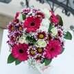This bouquet, crafted with Stanmore sensibility, is the epitome of cheery refinement. Electric pink Gerberas stand bold and proud at the core, their velvety petals pulling focus with dazzling confidence. There's a festive energy as magenta and white chrysanthemums, each with a sparkling green centre, cluster like spirited bursts among the arrangement. Creamy white roses offer a gentle embrace with their swirling, delicate layering-soft to the touch, inviting in scent. Intertwined throughout, baby's breath adds a lace-like delicacy, brightening and softening the bouquet's overall texture. Deep, cool green leaves create a rich foundation anchoring the blooms, reminiscent of Stanmore's nearby parks and suburban gardens. Set atop a spotless white surface, and with the distant suggestion of an ornate railing blurred behind, this bouquet feels right at home-ready to light up celebrations on Marsh Lane, mark a special birthday, or surprise a neighbour with a touch of Stanmore's signature elegance. Each detail speaks of joy, welcoming warmth, and the pleasure of giving something truly beautiful.