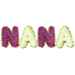 A handcrafted sympathy tribute spells NANA in four large, three-dimensional floral letters set against a crisp white background. Each letter is densely built from hundreds of small chrysanthemum heads, the first N and the second N formed from deep magenta to plum chrysanthemums with tiny yellow centers that give the surfaces a softly freckled texture. The two A letters are sculpted from creamy white chrysanthemums whose compact petals form a smooth, quiet face against the brighter purples. Every letter is trimmed with a lively lime-green border - a narrow pleated ribbon or finely cut foliage laid in a wavy frame - which lifts the composition with a fresh, hopeful accent. The arrangement sits in even, diffuse daylight that catches the slight sheen on each petal and throws gentle, minimal shadow, speaking to a calm, respectful setting such as a chapel or family home. There is a delicate, clean scent of chrysanthemums when the piece is near, cooling the air and lending a sense of calm to a wake or graveside gathering. The workmanship is meticulous: each bloom is placed to maintain readable letterforms from a distance and rich texture up close, so loved ones can both read the name and rest their eyes on its details. As a local Stanmore florist would describe it, this is a traditional yet personalised memorial tribute, chosen to honour a cherished grandmother with dignity and tenderness. Delivered with care, the piece is suited for memorial services around Stanmore Common, Canons Park, or small family rooms where intimate remembrance matters most.