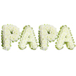 A tender, dignified floral tribute that spells out PAPA in four large, uppercase letters, each letter lovingly built from dense clusters of small, pristine white spray chrysanthemums. Up close the blooms form a soft, slightly domed surface with ruffled petals that catch the light, giving each character a quiet, cloud-like texture. A narrow band of pale lime-green ribbon, gently pleated and shaped like a wavy frame, traces the outer edge of every letter, the cool green a delicate counterpoint that sharpens the white without overwhelming it. The composition sits against a pure white backdrop so the letters read clearly and solemnly, arranged in a calm, even line that feels both formal and intimate. The faint, powdery scent of chrysanthemums seems almost present, an unobtrusive comfort that pairs with the visual purity. This piece reads as a personalised funeral tribute or memorial arrangement for a beloved father or grandfather, conveying respect, peace, and enduring affection. As a Stanmore florist I imagine this delivered with quiet care for a service nearby, perhaps on Stanmore Broadway or close to Bentley Priory, where families gather to remember. The craftsmanship shows in the tight packing of each bloom and the crisp, green border that defines the letters - a design meant to be both readable from a short distance and tender when viewed close at hand. It is a classic white-and-green memorial, conveying solace and reverence for a cherished paternal figure, suitable for wakes, graveside services, and funerals throughout Stanmore and the surrounding Harrow neighbourhoods.